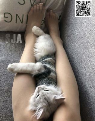 母亲动漫1~6全集动漫免费观看_720在线视频观看