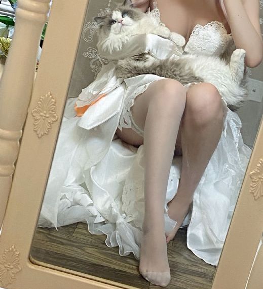 丰满少妇高清免费观看_720高清在线观看
