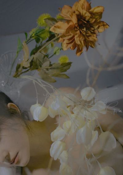 征服者佩尔_在线电影观看