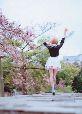 1—36集电视剧免费_4K全集免费播放